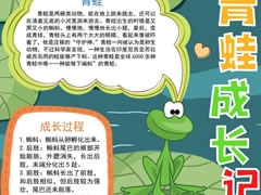 青蛙成長記錄手抄報模板