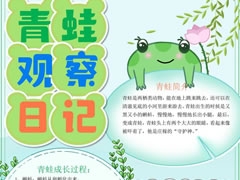 青蛙觀察日記手抄報模板
