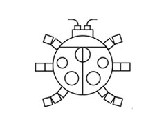 簡(jiǎn)筆畫(huà)七星瓢蟲(chóng)用圖形分步繪制