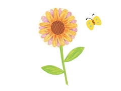 向日葵幼兒簡(jiǎn)筆畫分步畫法圖示