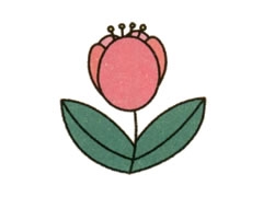 簡(jiǎn)筆畫郁金香畫法步驟圖示