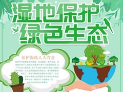 濕地保護綠色生態(tài)手抄報內(nèi)容模板