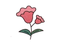 簡(jiǎn)筆畫雞冠花畫法步驟圖示