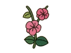 簡(jiǎn)筆畫梅花畫法步驟圖示