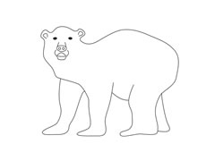 北極熊簡(jiǎn)筆畫圖片