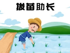 拔苗助長(zhǎng)成語(yǔ)兒童插畫