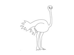 鴕鳥簡(jiǎn)筆畫圖片