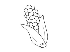 玉米簡(jiǎn)筆畫圖片