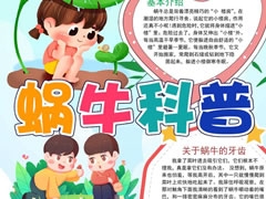蝸?？破帐殖瓐?bào)模板