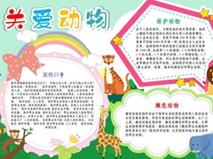 關(guān)愛動(dòng)物手抄模板