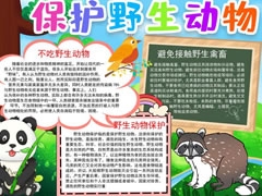 保護(hù)野生動物手抄報(bào)模板