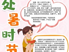 處暑時節(jié)手抄報內容模板