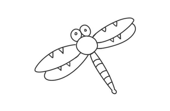 蜻蜓簡筆畫創(chuàng)作步驟圖示05