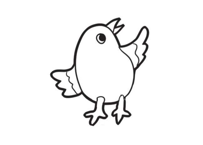 小鳥簡(jiǎn)筆畫創(chuàng)作步驟圖示03